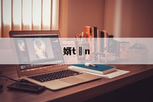 婿tn的简单介绍-九游娱乐